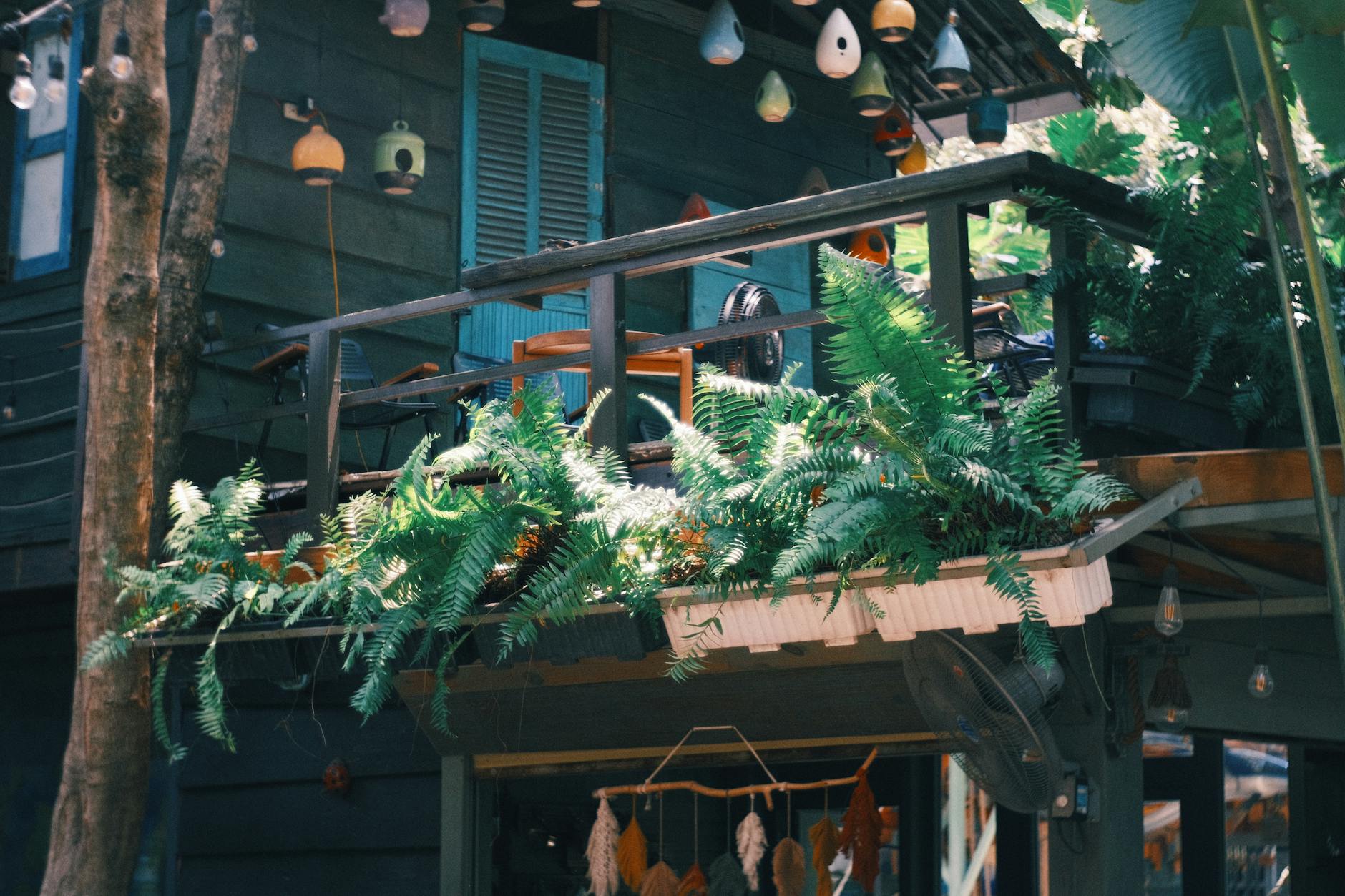 Drewniany balkon w cieniu z bujnymi paprociami i wiszącymi dekoracjami