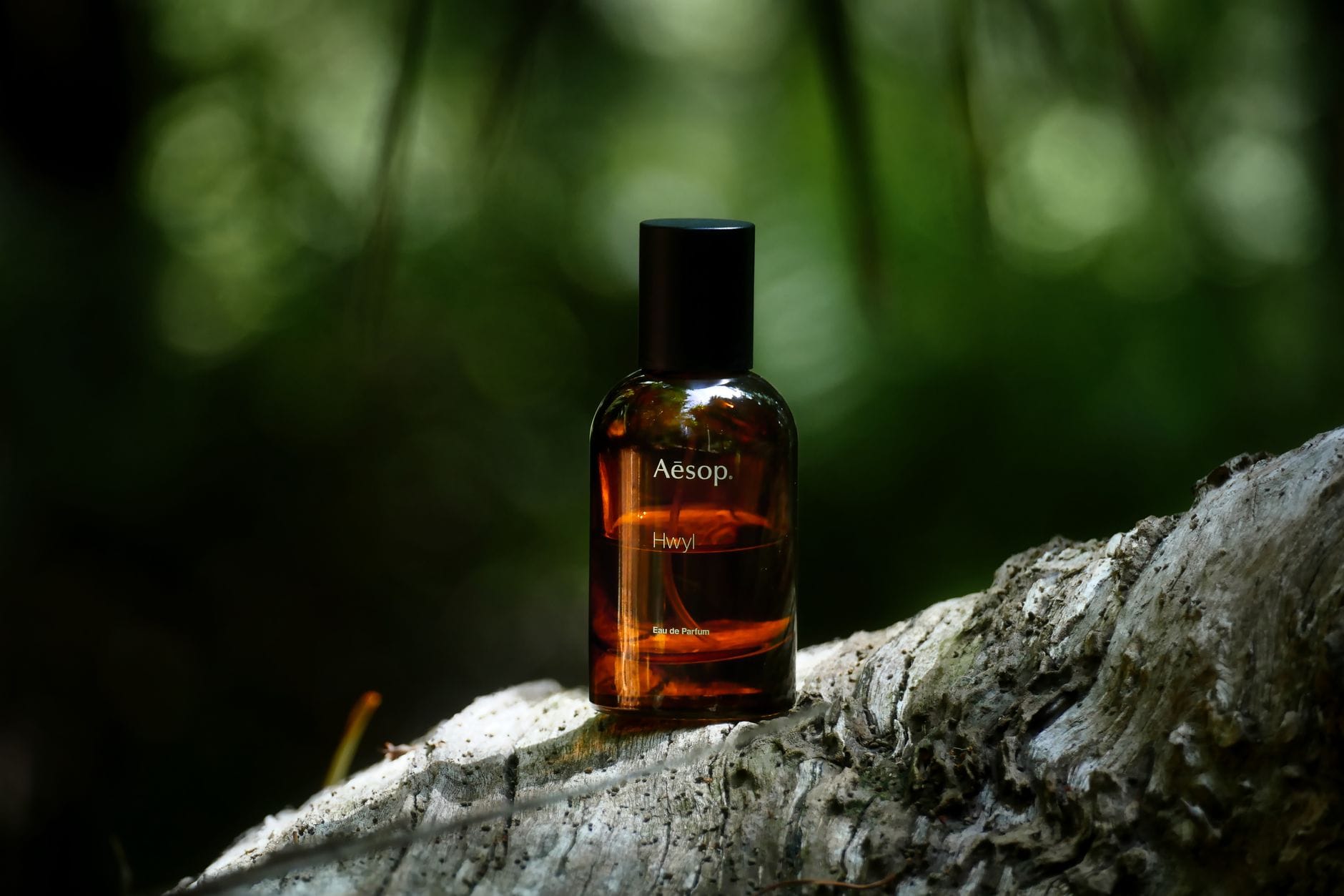 Flakon perfum Aesop Hwyl na gałęzi drzewa w leśnym otoczeniu